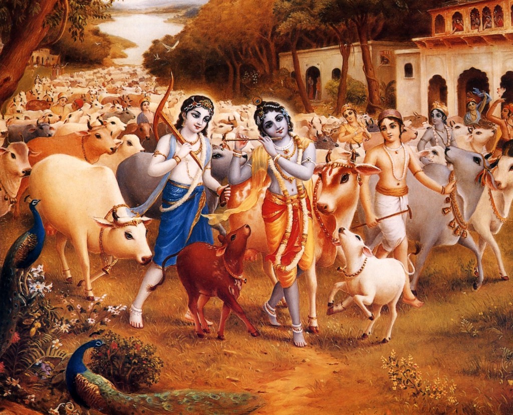 Donation Image